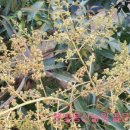 (주)골든하이 이미지