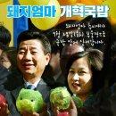 돼지엄마 Daum카페