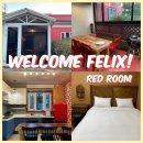웰컴 펠릭스 이미지