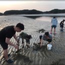 장삼포민박 이미지