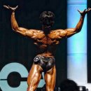 짐뮤즈PT 이미지