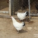 누룩재마을 이미지