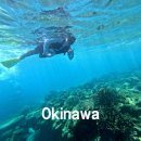 오박사 | 오키나와 민나섬 스노쿨링 투어 예약 오박사 후기