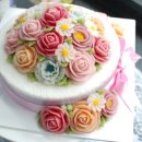 수진3호 이미지