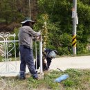 경춘로956 이미지