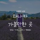 뉴앤팜 | [뉴질랜드/와나카]와나카 가볼만한 곳 총정리::맛집·카페·마트·액티비티