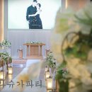 바닐라슈가 이미지