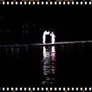 보화당약국 이미지