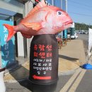 여수엔회센터