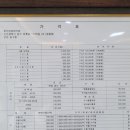 프리덤라이프