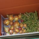 일월우체국 이미지