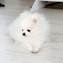 서예 초급 이미지