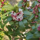 송이 부동산중개사무소 이미지