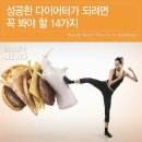 핑다이어트 네이버블로그