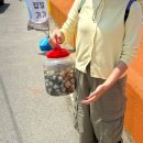 하전어촌체험휴양마을 | 고창 하전바지락 오감체험 페스티벌 축제 후기! 준비물, 주차장, 먹거리 정보 정리