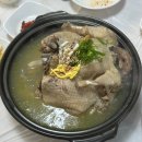 산장 러브스토리 | 양양 계곡 백숙 추천 현지인맛집 거목정 &amp; 법수치계곡 주차 꿀팁 후기