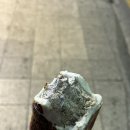 윙윙아이스크림