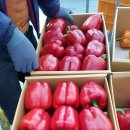 시온농장 이미지