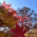 와글와글고기파티 이미지