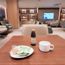 공항가는길 | 김포공항에서 제주공항 가는 길, 아시아나 비즈니스석 탑승 브이로그 (제주도비행기)