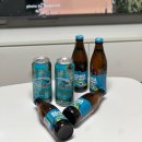 GS25골든프라자점 | GS25 편의점 세계 맥주 추천 빅웨이브 병맥주 캔맥주 차이까지