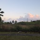 BREEZE ISLAND 이미지