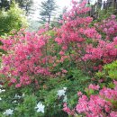 영어회화반 이미지