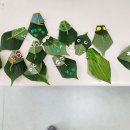 대치어린이집 이미지