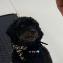 동물보육원 김해지부 이미지