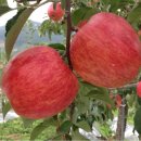 홍은농장 이미지