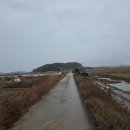 뚝방흑염소 이미지