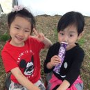 2016년 충주 코리아카라반랠리 후기
