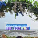 펀지키즈풀빌라2 이미지