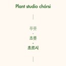 초르시