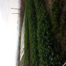 원터농장 이미지