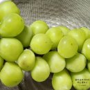 도봉로3길-6 이미지