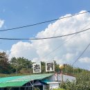 곡강농장 이미지