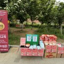 유경원어린이집 | 🌦️ 오늘 날씨 어때요? 영어로 즐기는 날씨 토크! - 비욘드영어학원 행사 후기 ☀️