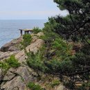 《 산불피해 : 해파랑길 21 》 25.5.22 이미지