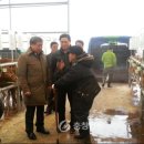 부여전자 이미지