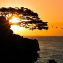 강타펜션 이미지