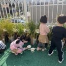 어울림유치원 이미지