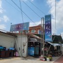 강창호물회대어횟집