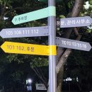 한솔마을청구아파트 | 분당 한솔마을 흥겨운 청구아파트 야시장에서 흥겨운 한마당