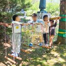 포곡초 놀이터 이미지