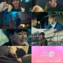 사랑스럽개 - 동대문구 전농로4길 1 | 사랑스럽개