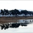 소나무풍경 - 유성구 엑스포로 488 | 소나무풍경