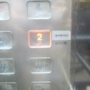 부산고양이미용&호텔 냥스타그램 이미지