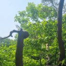 가당정류소 이미지