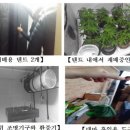박용수농장 네이버블로그